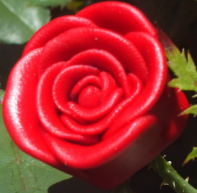 True Red