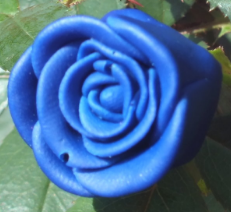 Deep Blue