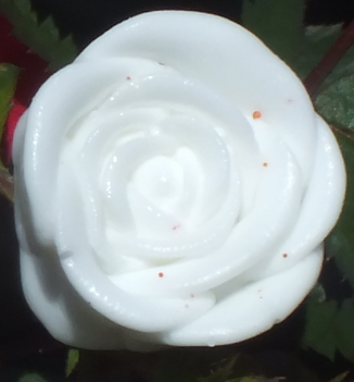 Corrupted White