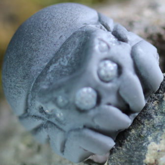Precious Granite