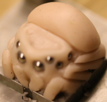Final Sculpt