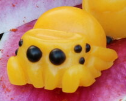 Pollinator