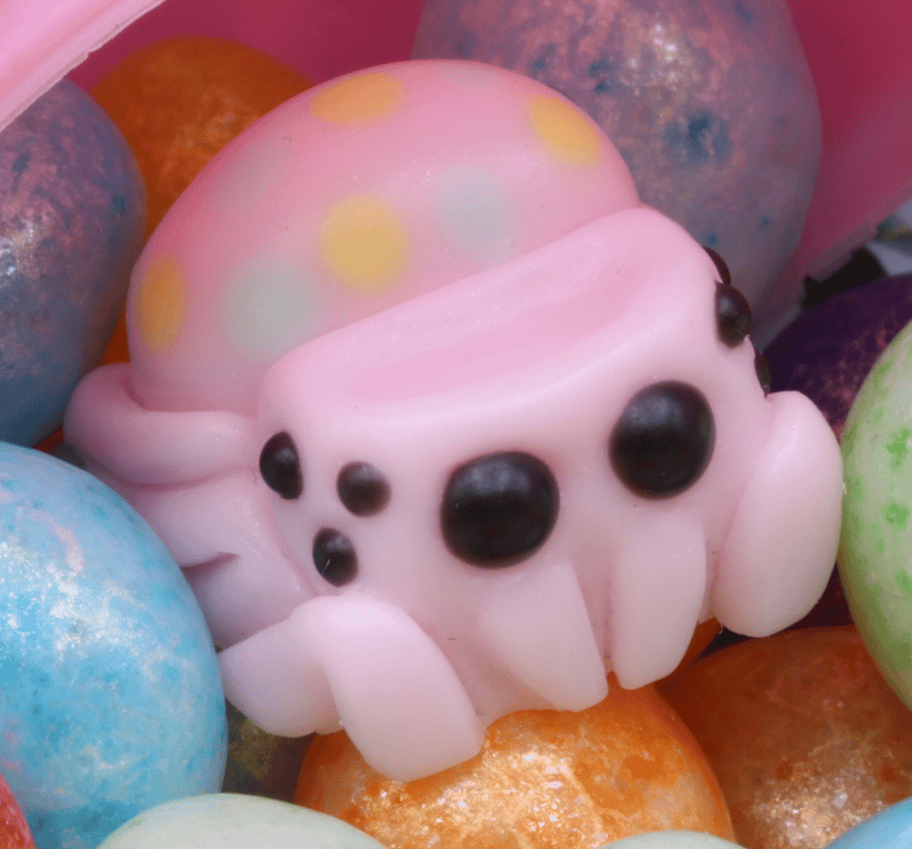 Jelly Dreams