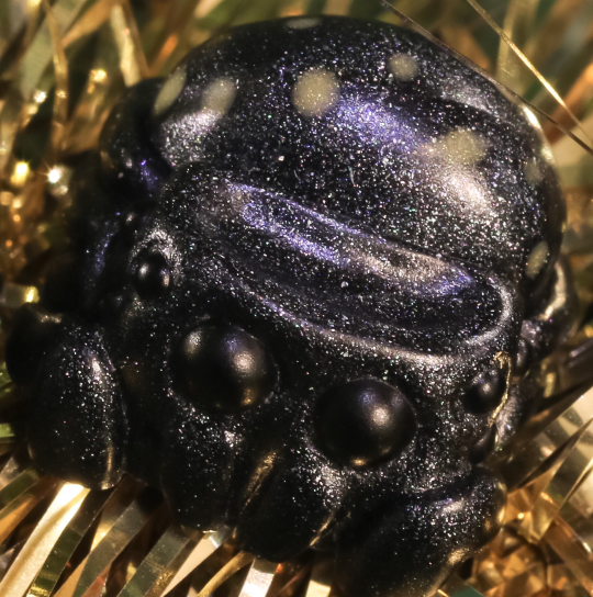 Coal