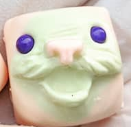 Blooma