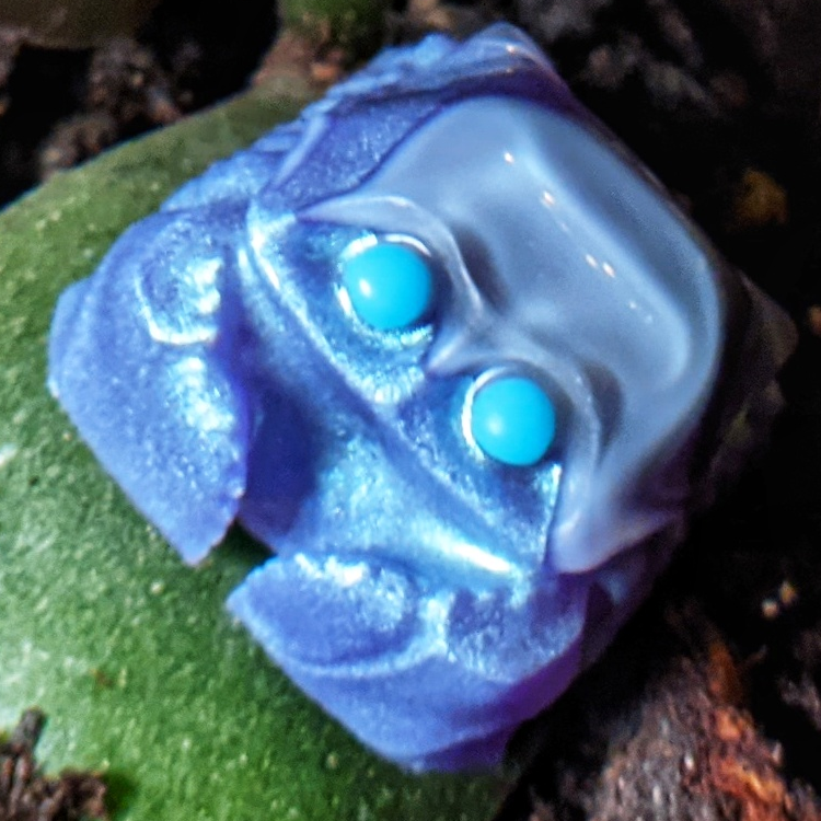 Moonbeam