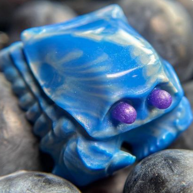 Blueberry Liger