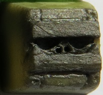 Dirty Martini