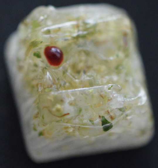 Ghost Leaf