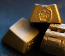 Stay Gold