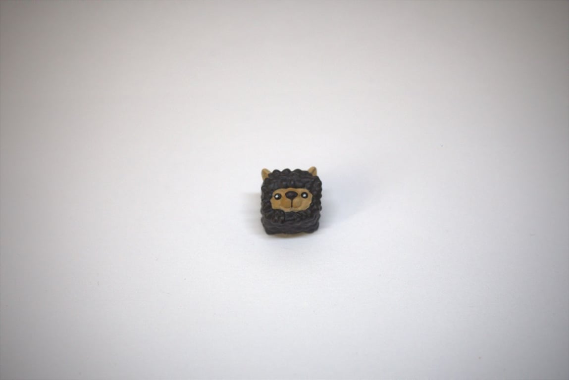 Black Alpacap