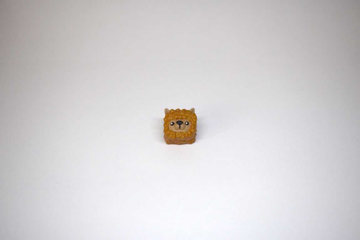 Orange Alpacap