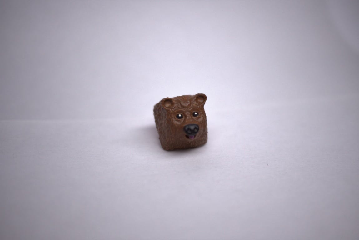 Brown bear