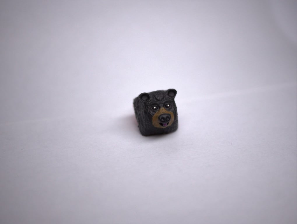Black bear