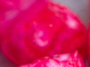 Fuchsia Punch