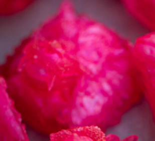 Fuchsia Punch