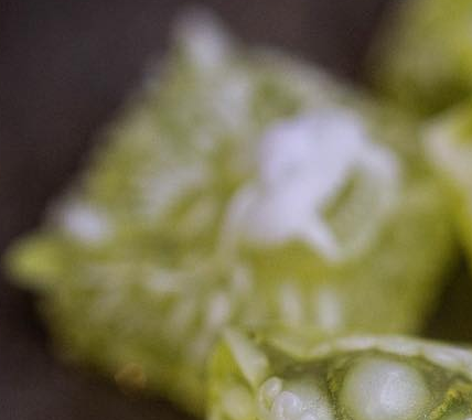 Pale Ale