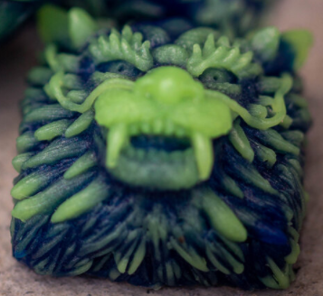 Algal Bloom