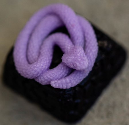 Taro