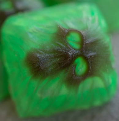 Kiwi Dungeon Spank