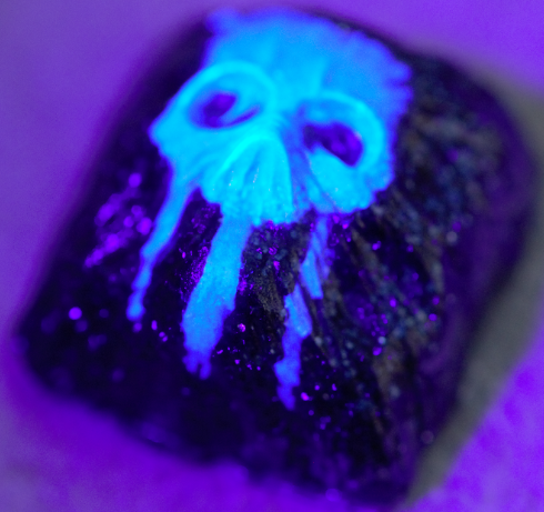 Nuka Quantum (Blacklight)