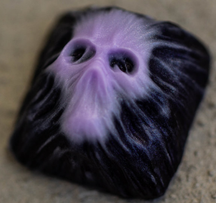 Taro