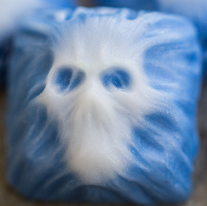 Dryer Lint