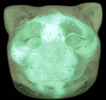 Schrodinger (GID)