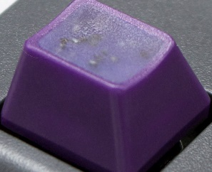 Boysenberry