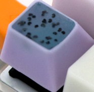 Snozzberry