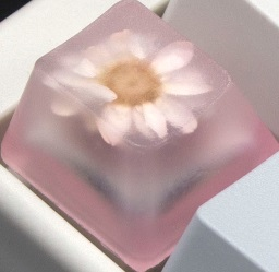 Hanami