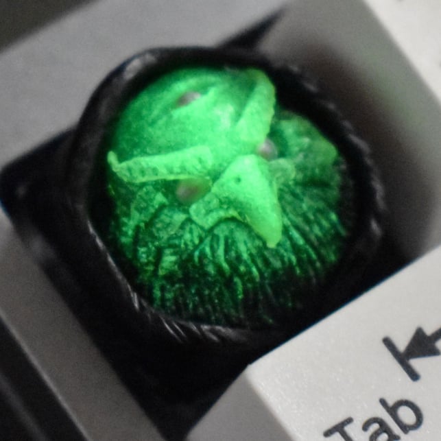 Fluorescence