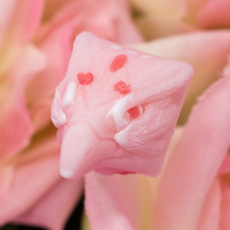 Hanami