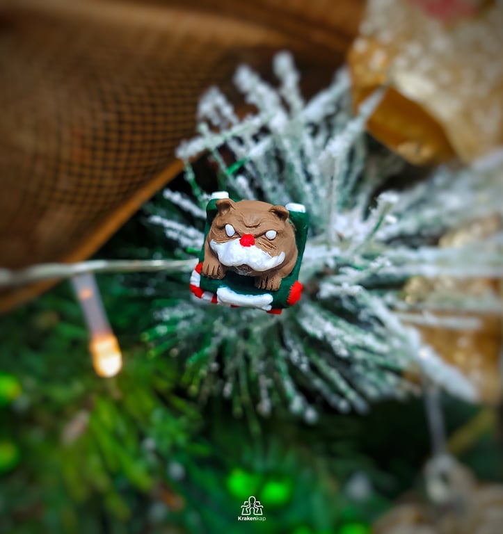 Noel