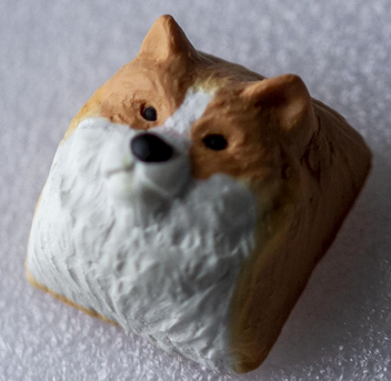 Corgi (Spring 2024 Doggo Sale)