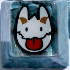 Boro (2023 December Bunny: Boro Sale)