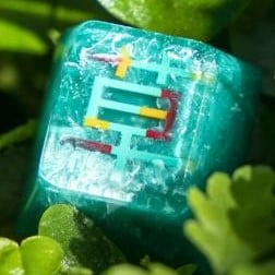 ZaZa Vote Winner Version (2023 420 Giveaway)