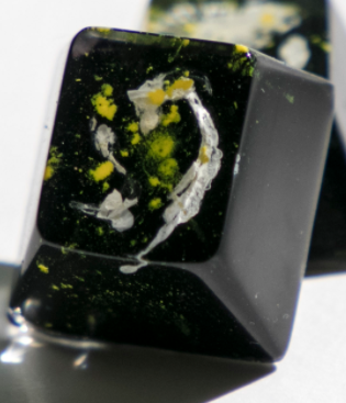 Shōri (GMK Serika Collab)