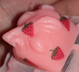 Betchi's berries
