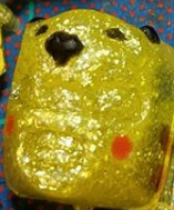 RNGer