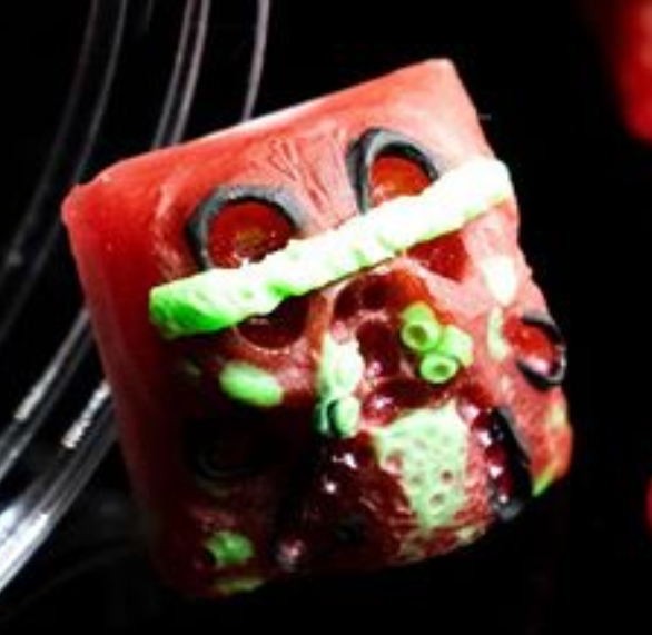 Ecto