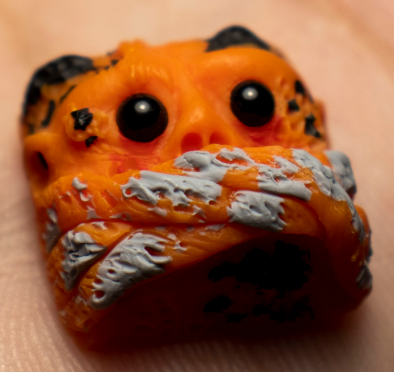 Spooky Squash