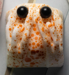 Pride Orange