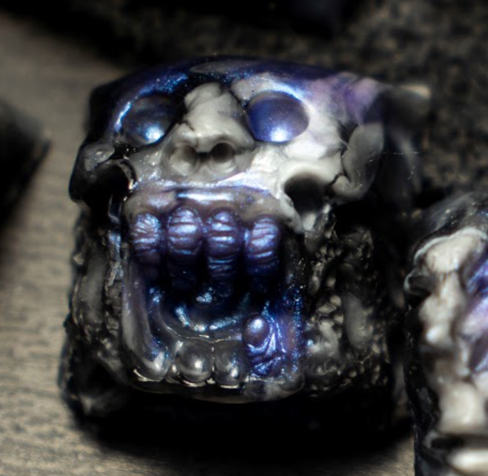 Rayn