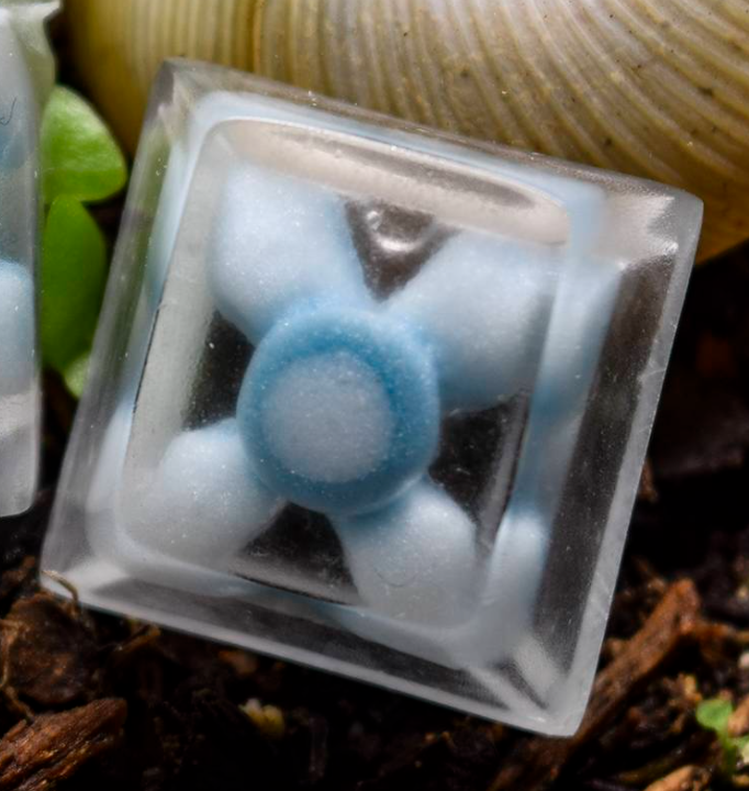 Navi