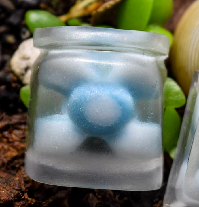 Navi
