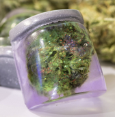 Durban Dream