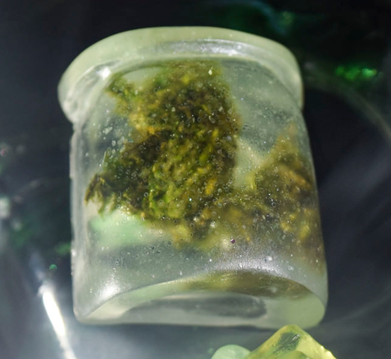 Nug Jug