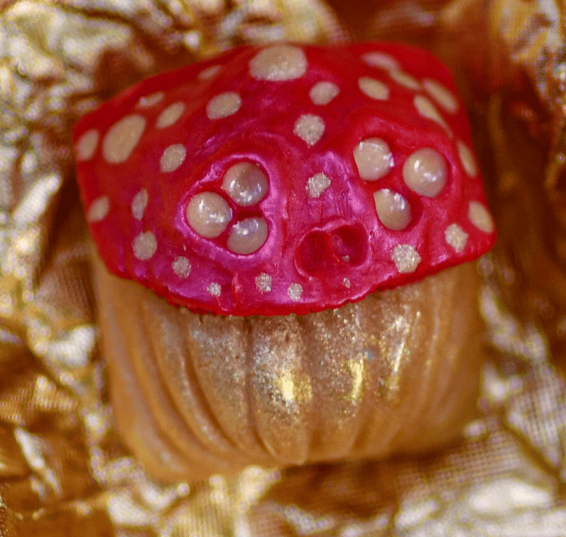 New Years' Amanita