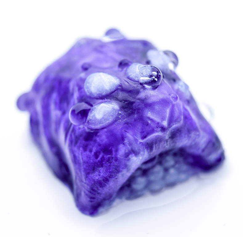 Eggplant